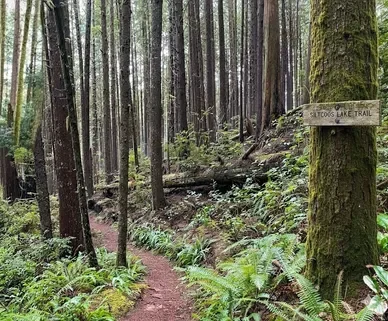 Darlings Resort & Trailer Park