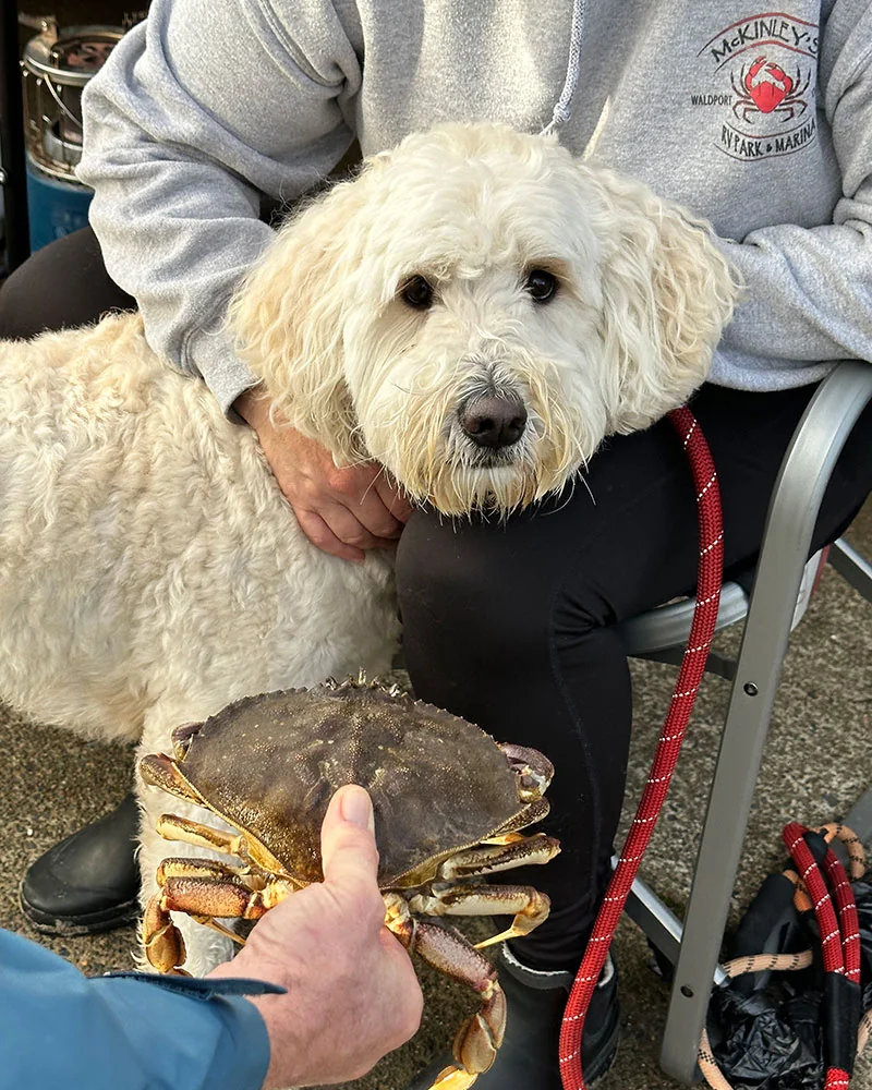 Mc Kinley's Marina & Rv Park