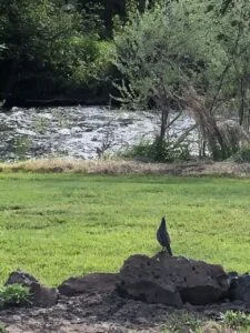 Wallowa River Rv Park