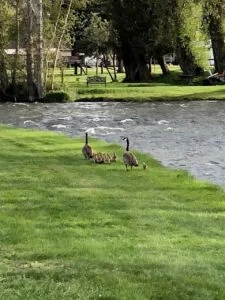Wallowa River Rv Park