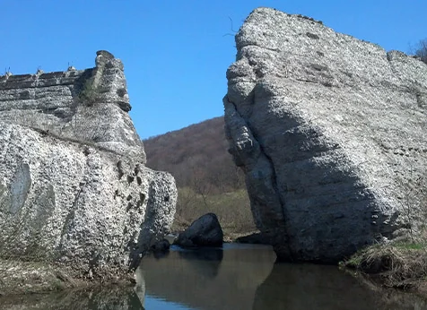 Austin Campground-nelson Run