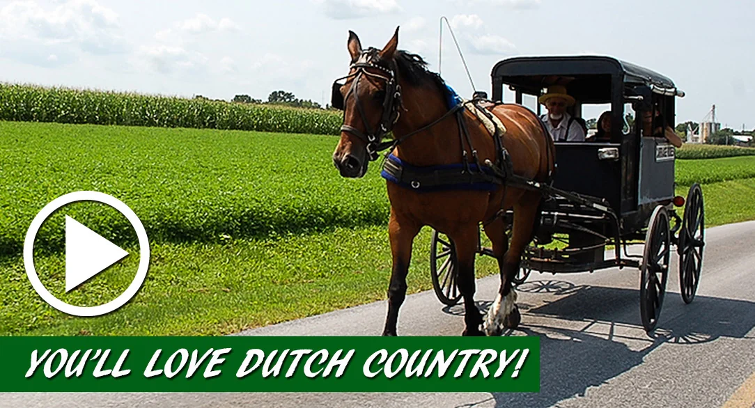 Dutch Cousin Campsite Public