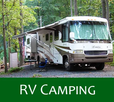 Dutch Cousin Campsite Public