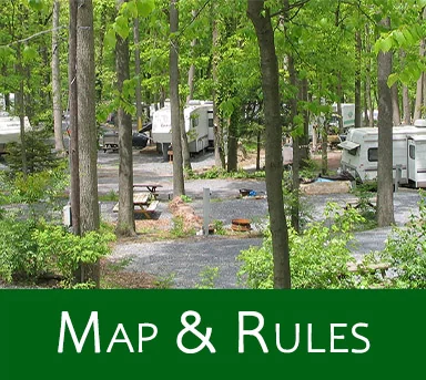 Dutch Cousin Campsite Public