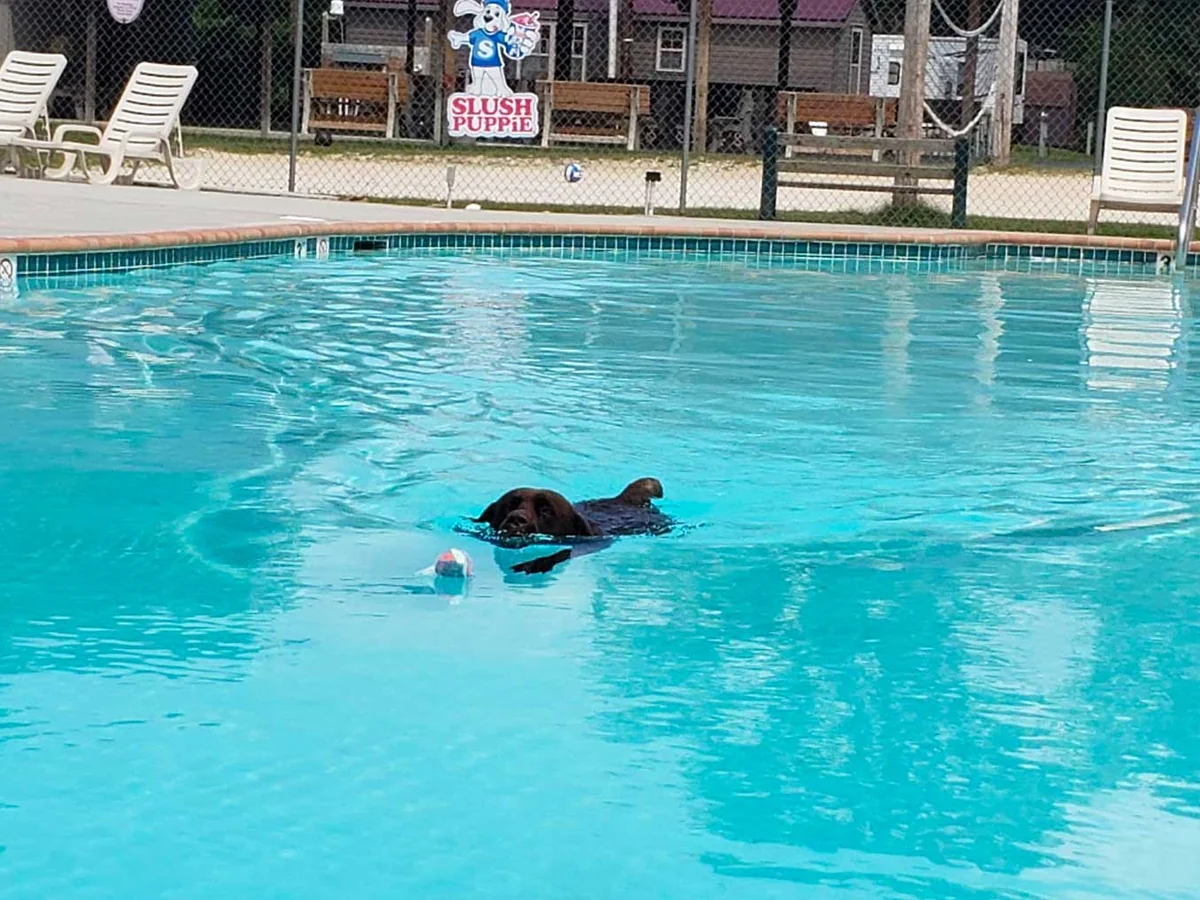 Mountain Creek Camp Ground