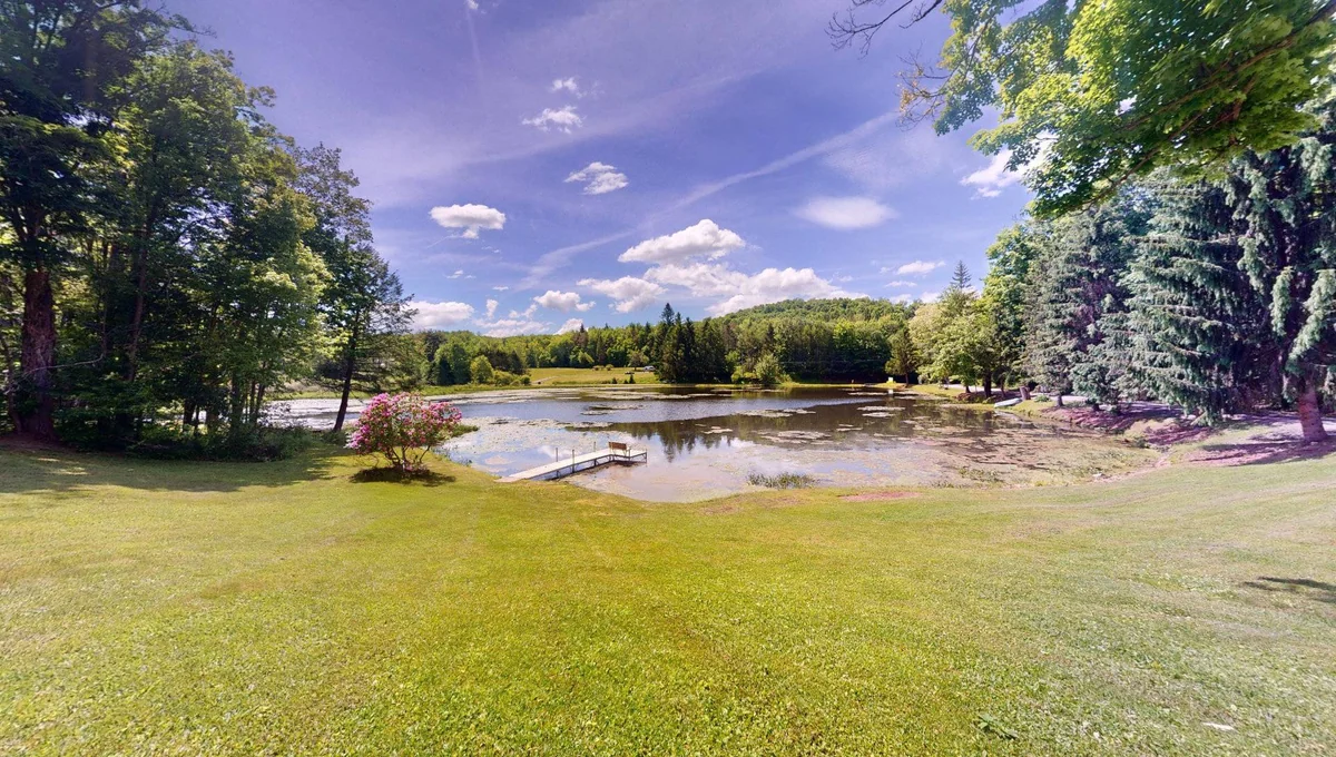 Shore Forest Campground