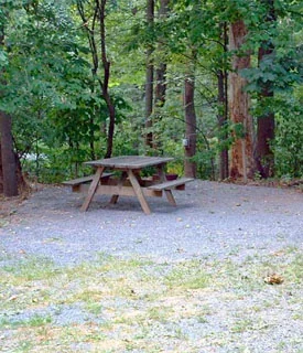 Starlite Camping Resort