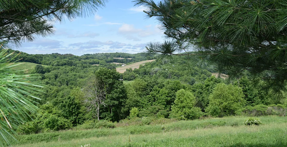 Mountain Top Campground