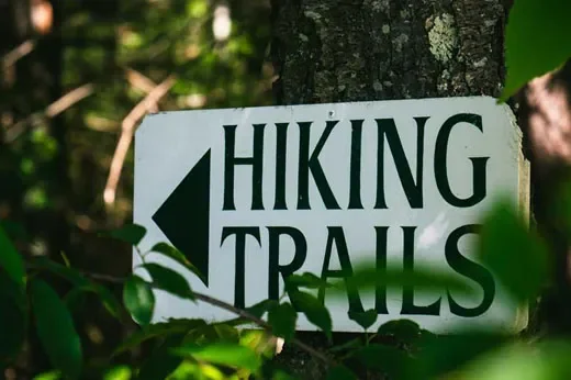 Yogi Bear's Jellystone Park