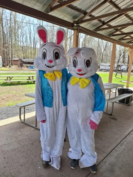 Council Cup Campground