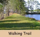 Big Cypress Lake Rv Park