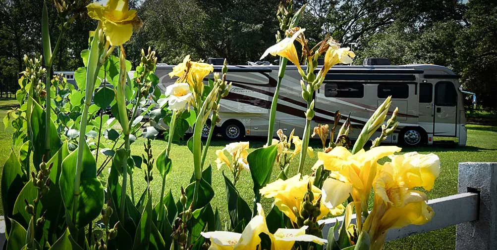 Hardeeville Rv-thomas Parks