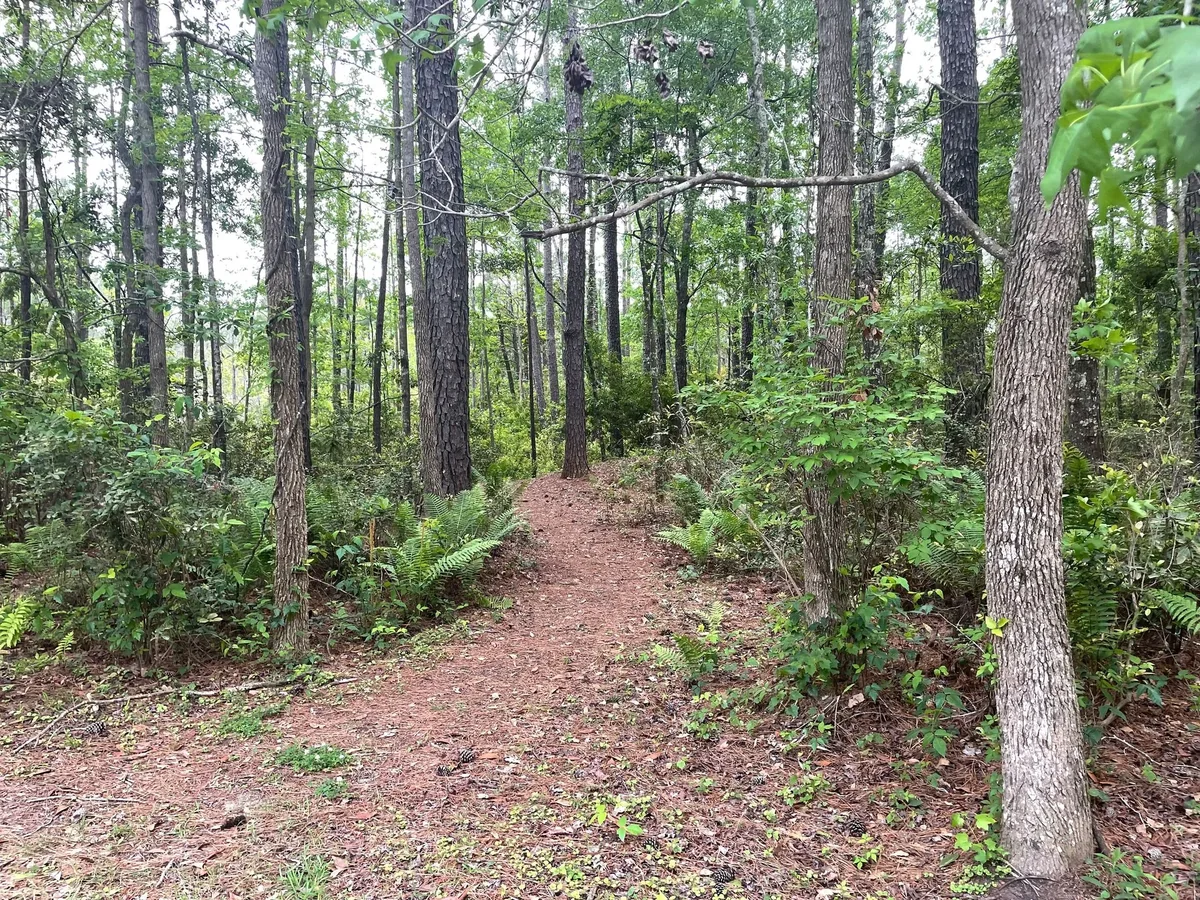 Lake Aire Campground
