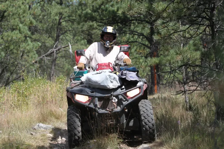Custer Mountain Cabins
