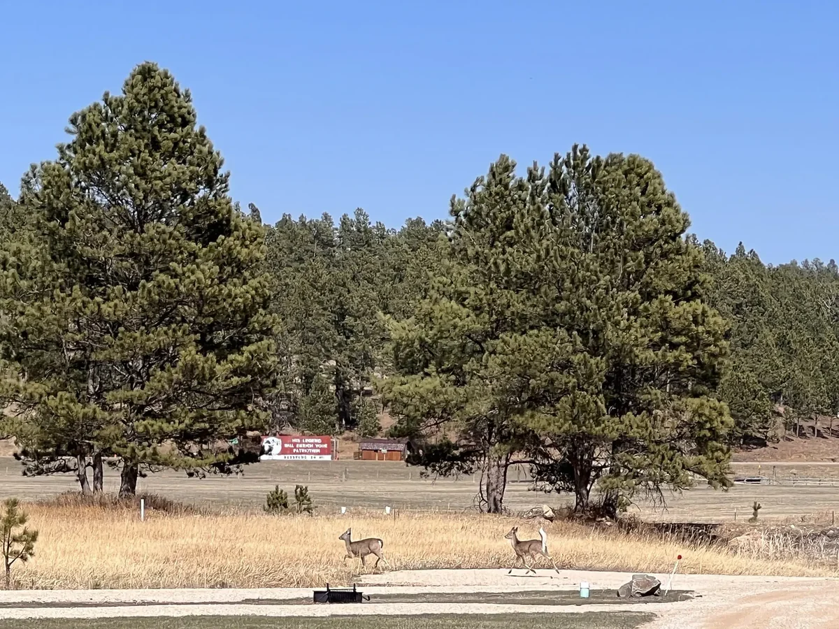 Custer's Gulch Rv Park