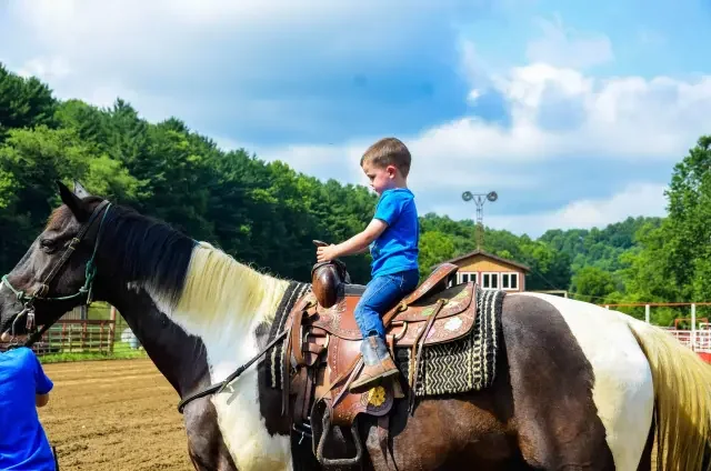 Rushmore Shadows Inc