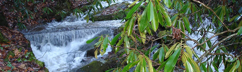 Twin Creek Rv Resort