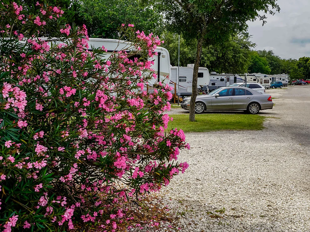 Alamo Fiesta Rv Resort