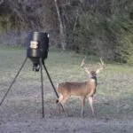 Silver Creek RV Resort TX