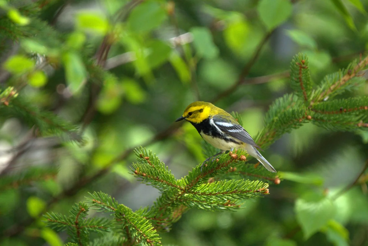 Groves Mobile Village-rv Park