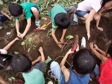 Melody Lane Christian Renewal