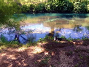 Landa Rv Park & Campgrounds