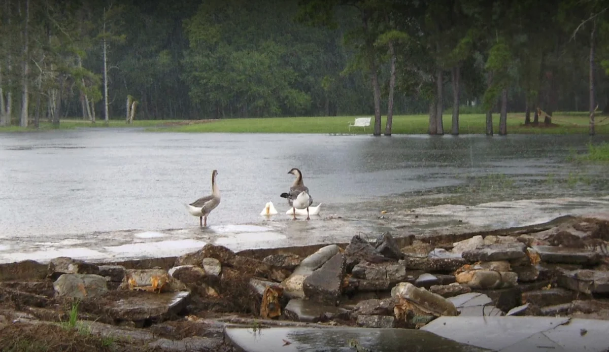 Omega Farms Rv Retreat