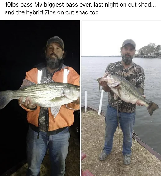 Willis Rv Park On Lake Conroe