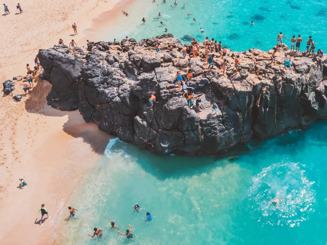 Discover Hawaii Tours