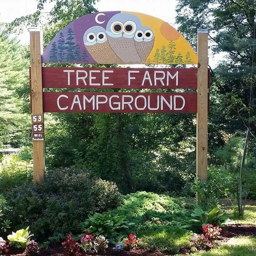 Tree Farm Campground