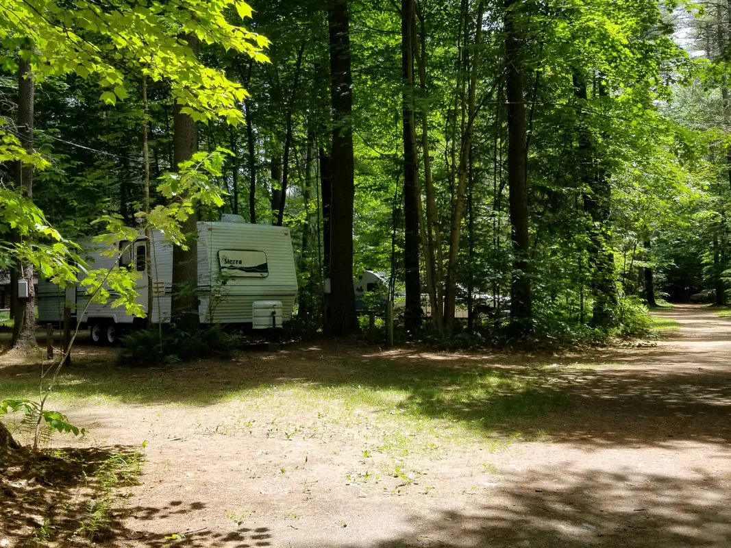 Tree Farm Campground