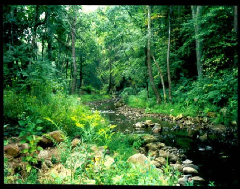 Gooney Creek Campgrounds