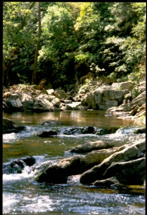 Gooney Creek Campgrounds