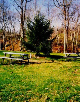 Gooney Creek Campgrounds