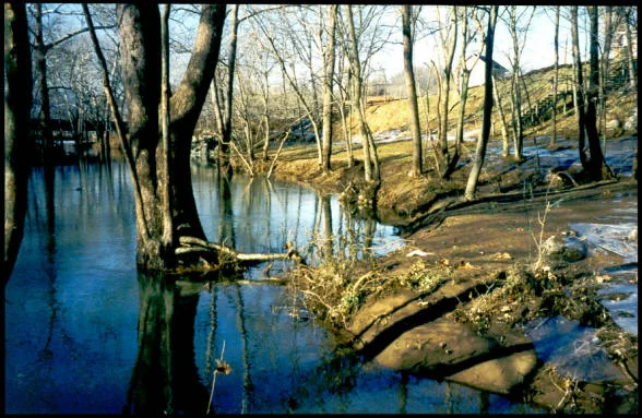 Gooney Creek Campgrounds