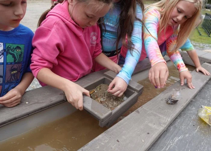 Spacious Skies Shenandoah Views