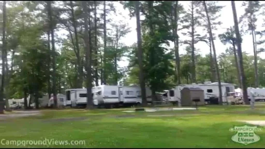 Yogi Bear's Jellystone Park
