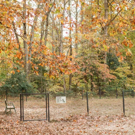 American Heritage Rv Park