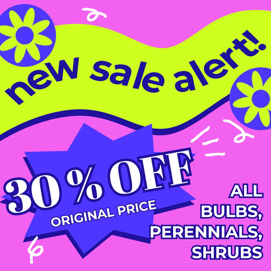 Williamsburg Pottery Cmpgrnd