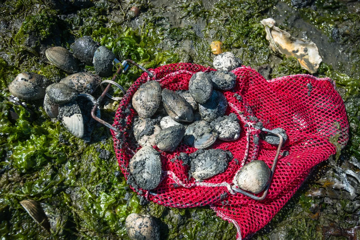 Fidalgo Bay Rv Resort