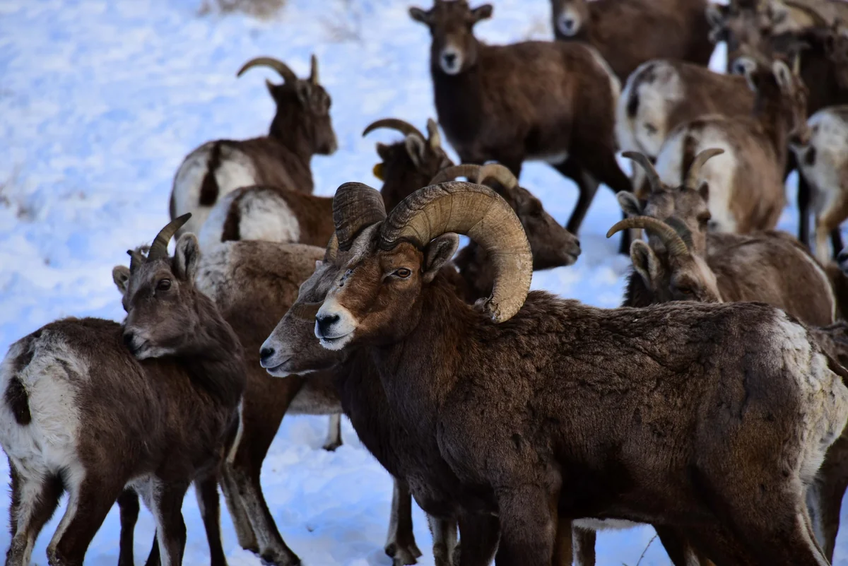 Yakama Indian Nation