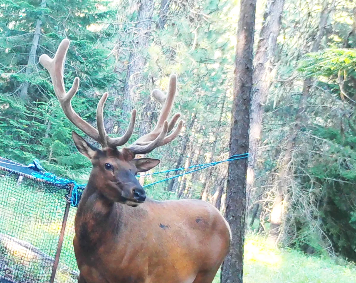 Yakama Indian Nation