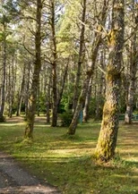 American Sunset Rv Resort