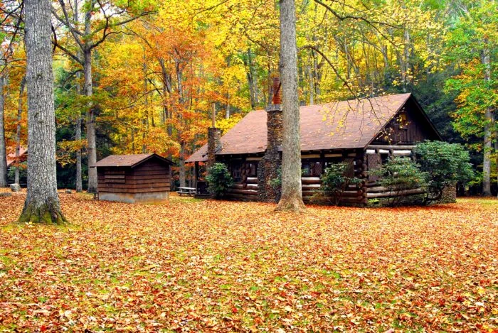Beech Fork State Park
