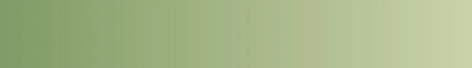 Big Bear Lake Camplands Alysk