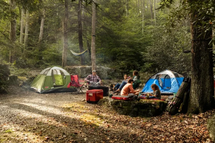 Cabwaylingo State Forest