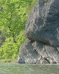 Milleson's Walnut Grove