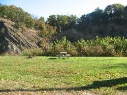 Milleson's Walnut Grove