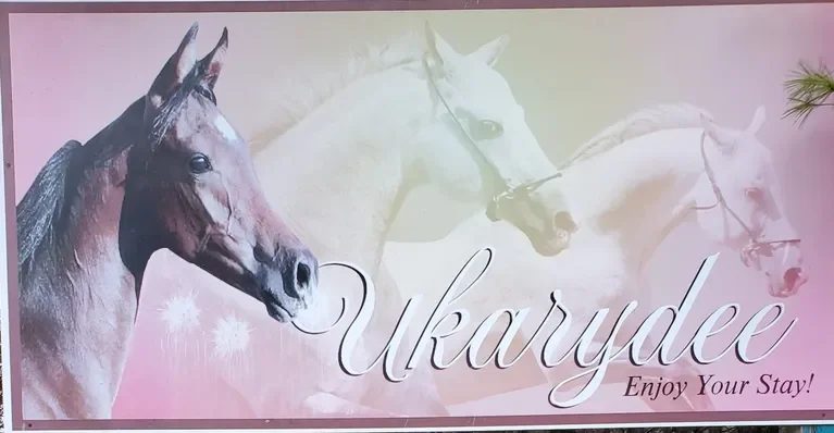 Ukarydee Equestrian Camping