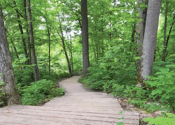 Castle Mound Campground